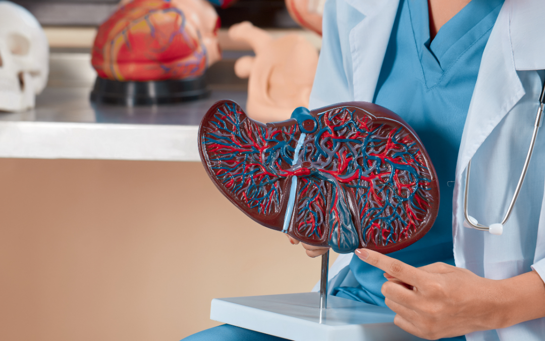 The Liver Is The New Brain: How to Detect and Reverse Fatty Liver Disease (MASLD/NAFLD)